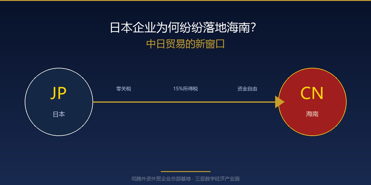 日本企业为何纷纷落地海南？——中日贸易的新窗口